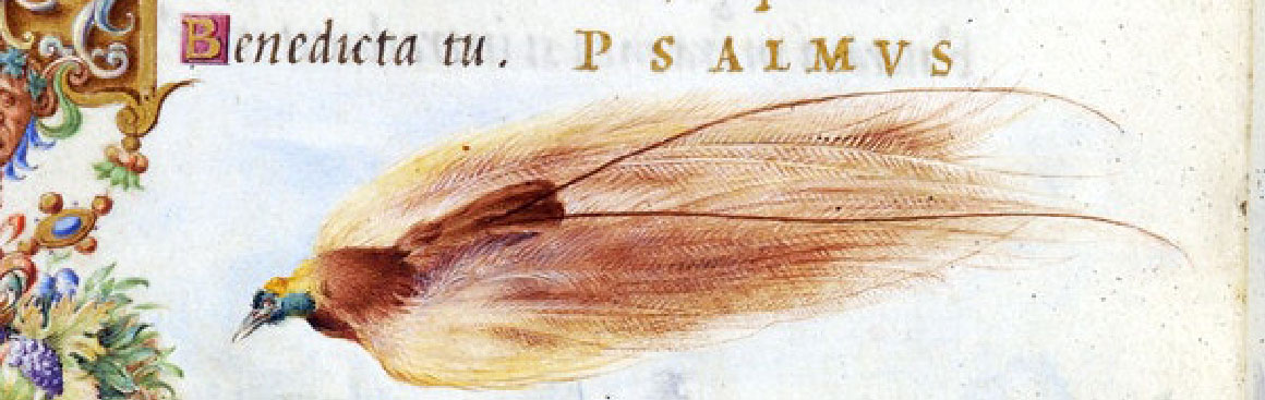 Le chant des oiseaux, une source d’inspiration intarissable