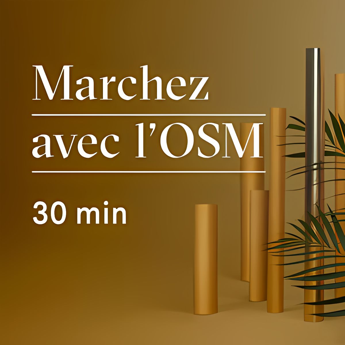 Walk with the OSM – Playlist